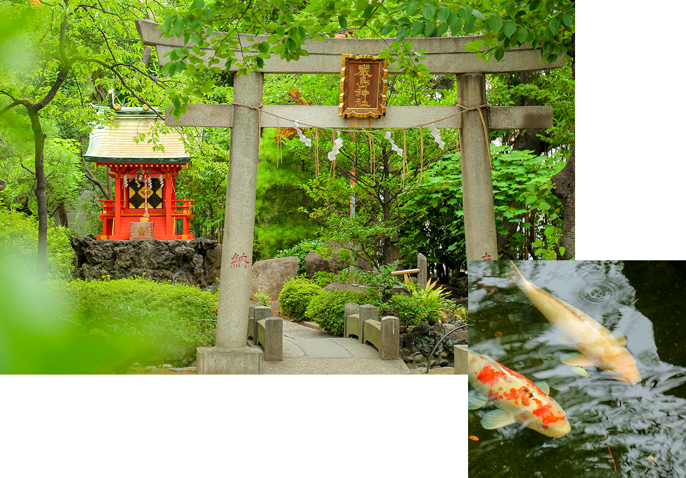 弁天池と嚴島神社の画像